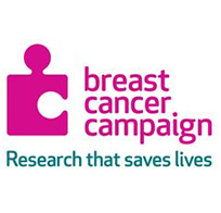 Breast Cancer Campaign